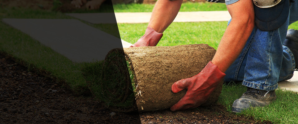 Hamersville Landscapers